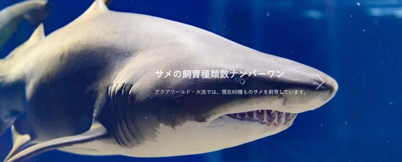 アクアワールド茨城県大洗水族館