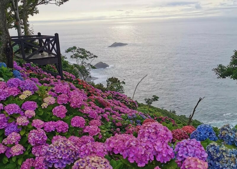 桃源郷岬